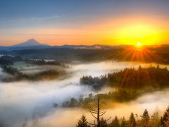 Zonsopgang - Amanda's Update
