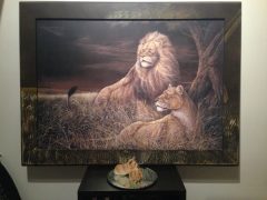 Leeuwen - Amanda's Update