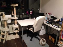 Kamer bureau - Amanda's Update